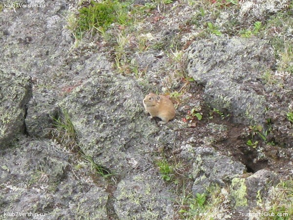 ��������. ������ �������, ���� 3