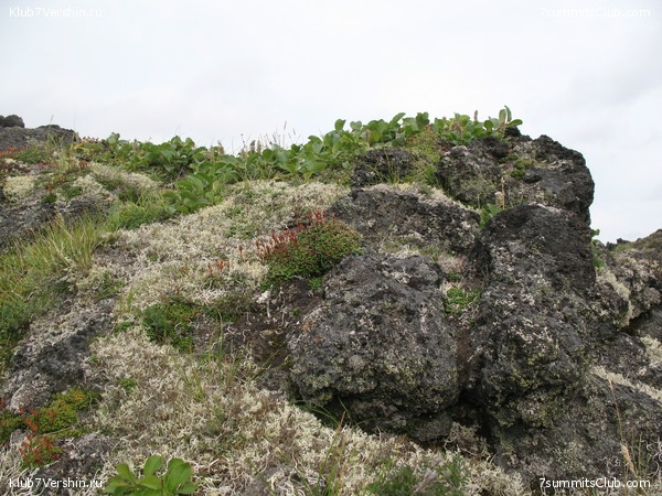 ��������. ������ �������, ���� 9