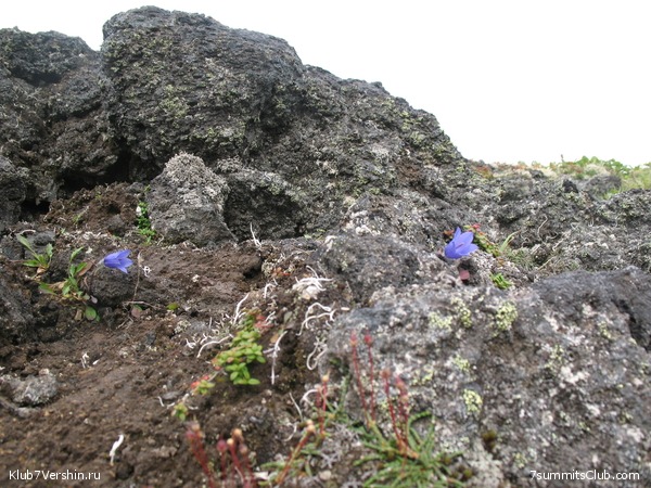 ��������. ������ �������, ���� 12