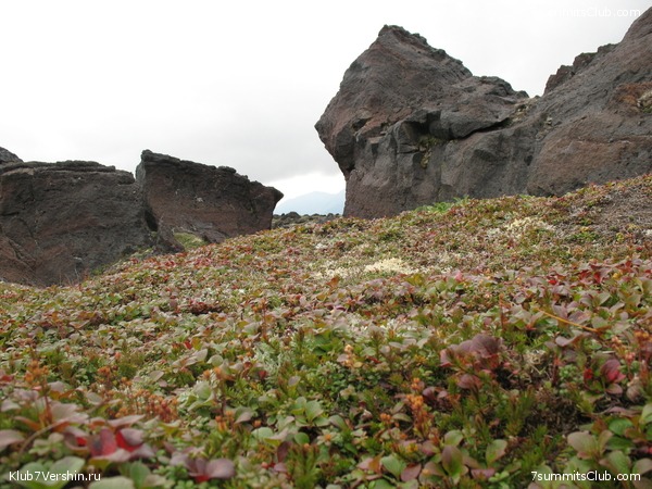 ��������. ������ �������, ���� 20