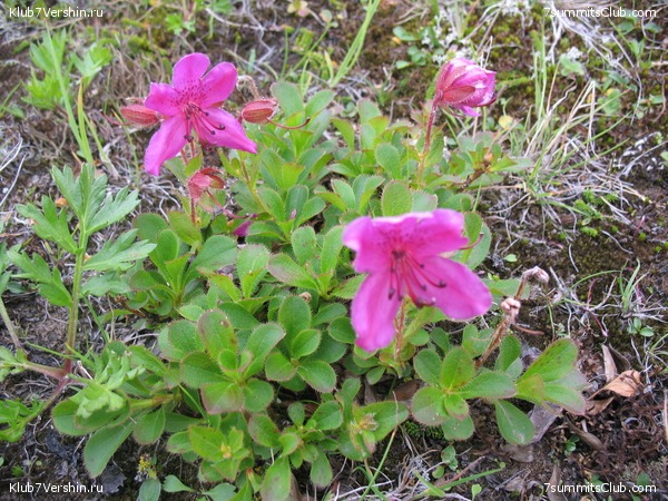 ��������. ������ �������, ���� 23