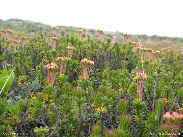 ��������. ������ �������, ���� 34