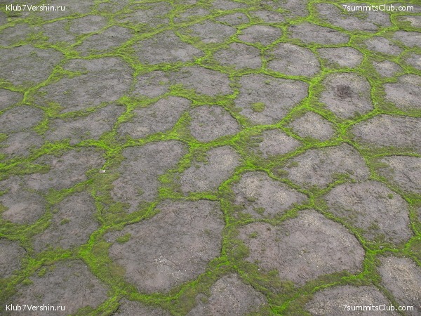 ��������. ������ �������, ���� 51