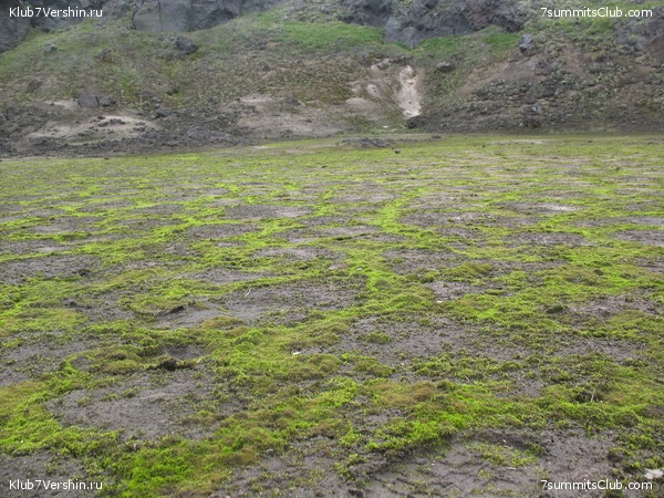 ��������. ������ �������, ���� 54