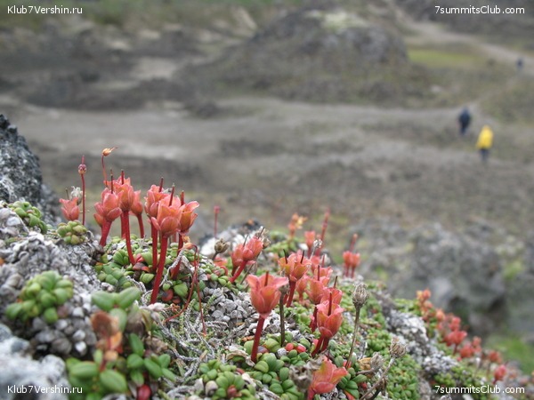 ��������. ������ �������, ���� 57