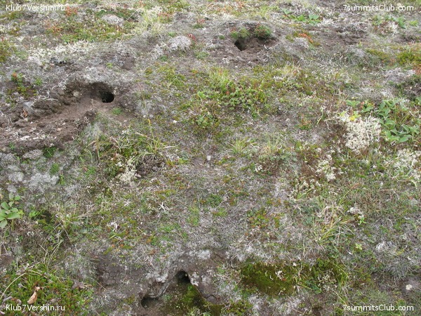 ��������. ������ �������, ���� 65