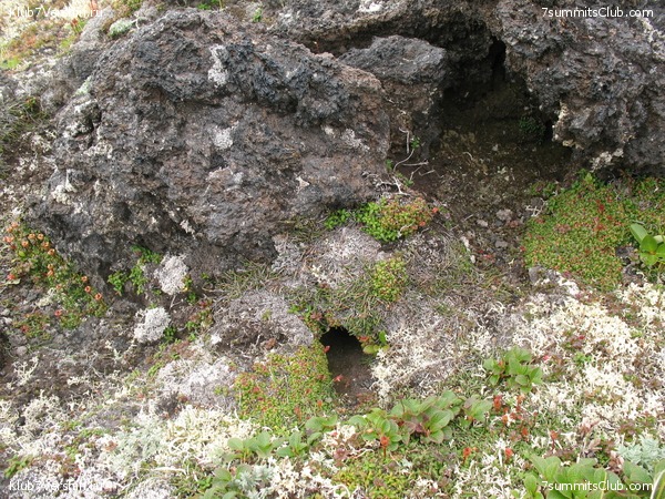 ��������. ������ �������, ���� 66