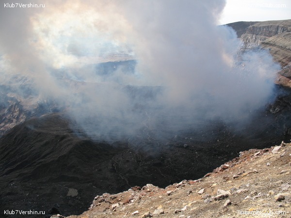 ��������. ������ �������, ���� 116