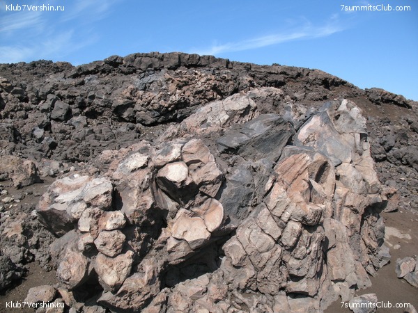 ��������. ������ �������, ���� 125