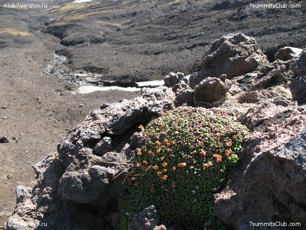 ��������. ������ �������, ���� 141