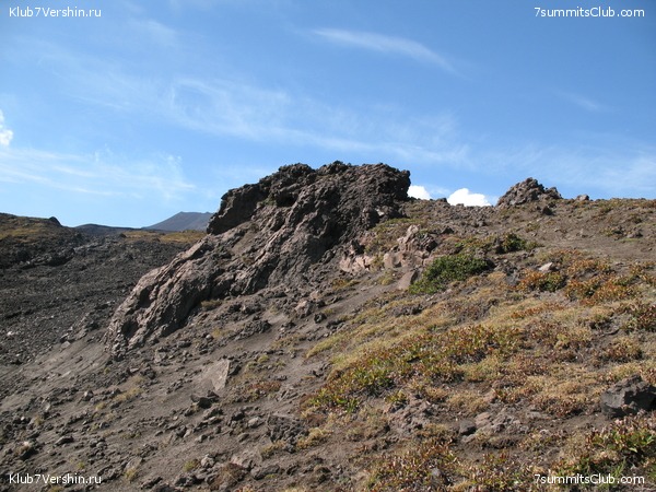 ��������. ������ �������, ���� 147