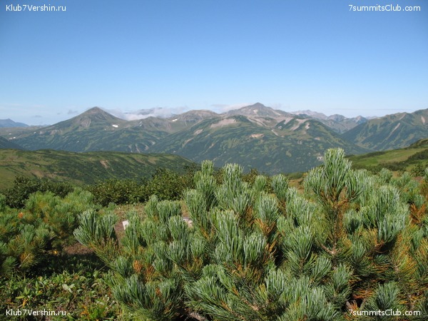 ��������. ������ �������, ���� 151