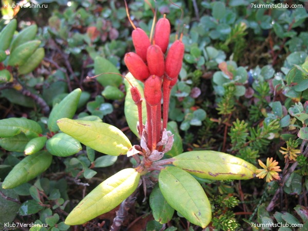 ��������. ������ �������, ���� 157