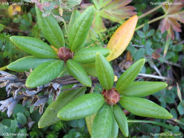 ��������. ������ �������, ���� 159