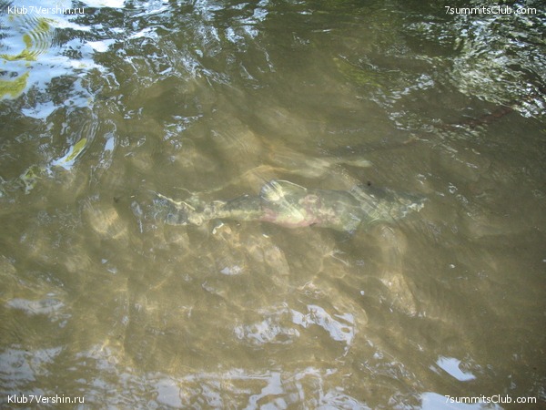 ��������. ������ �������, ���� 161