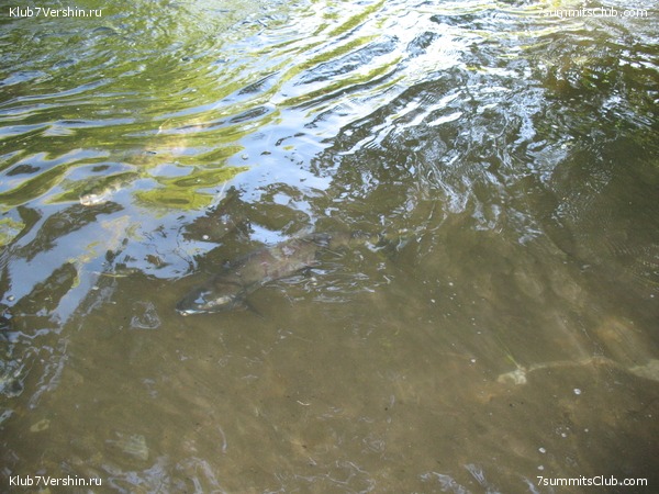 ��������. ������ �������, ���� 162