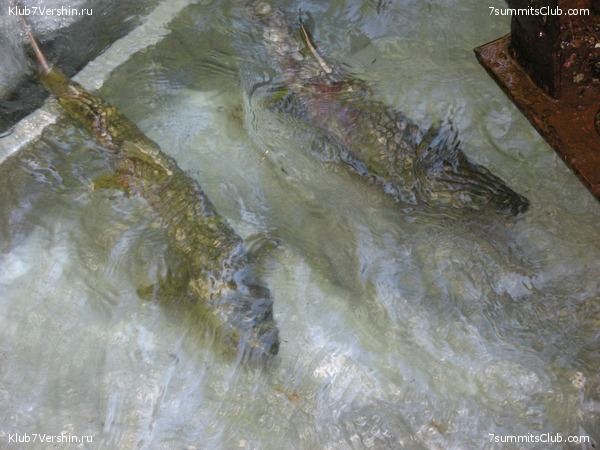 ��������. ������ �������, ���� 166