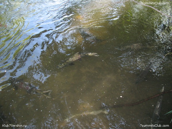 ��������. ������ �������, ���� 167