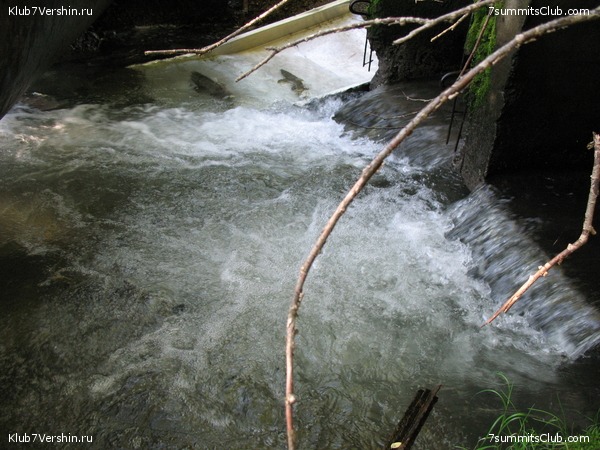 ��������. ������ �������, ���� 171