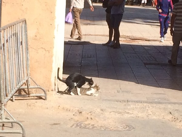 ������� �������. ����� ����������, ���� 30