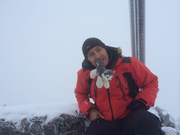 ������� �������. ����� ����������, ���� 31