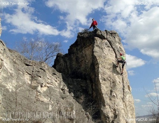 ������������ � ��������� �� ���. 2015., ���� 15