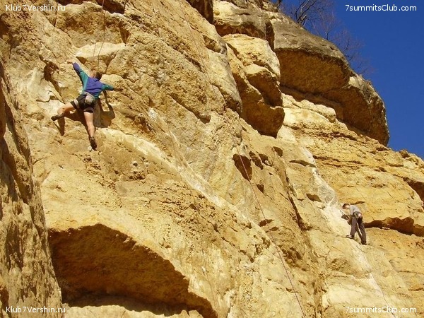 ������������ � ��������� �� ���. 2015., ���� 7