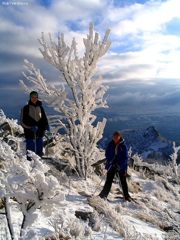 ������������ � ��������� �� ���. 2015., ���� 24