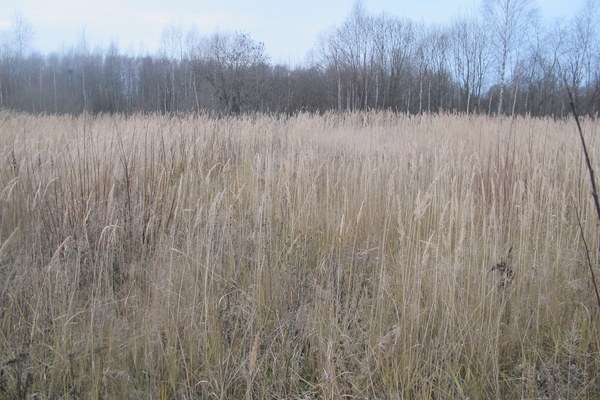 ����� ��������� ������� �����, ���� 6