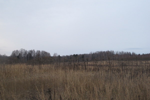 ����� ��������� ������� �����, ���� 7