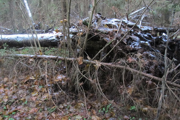 ����� ��������� ������� �����, ���� 8