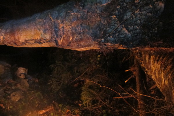 ����� ��������� ������� �����, ���� 11