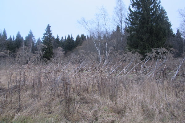 ����� ��������� ������� �����, ���� 12