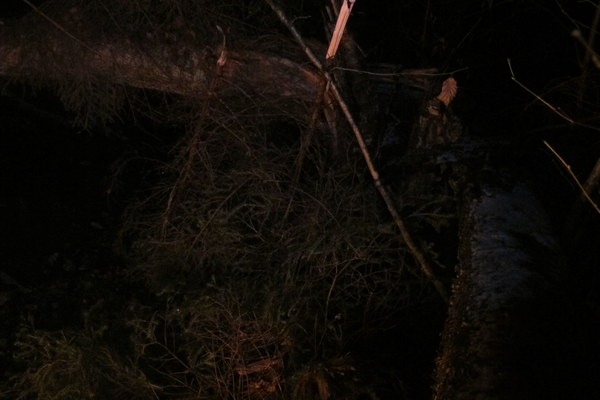 ����� ��������� ������� �����, ���� 13