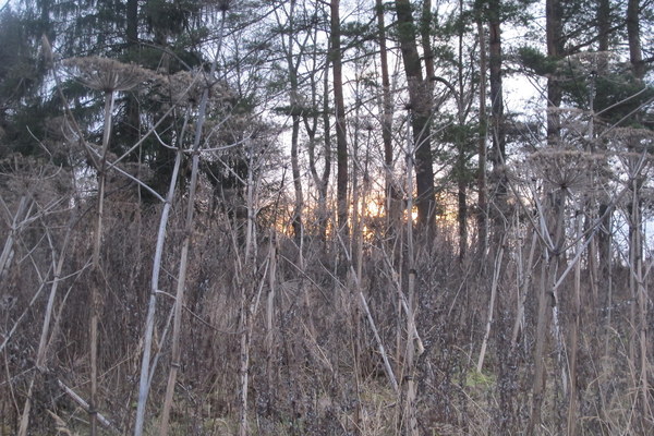 ����� ��������� ������� �����, ���� 14