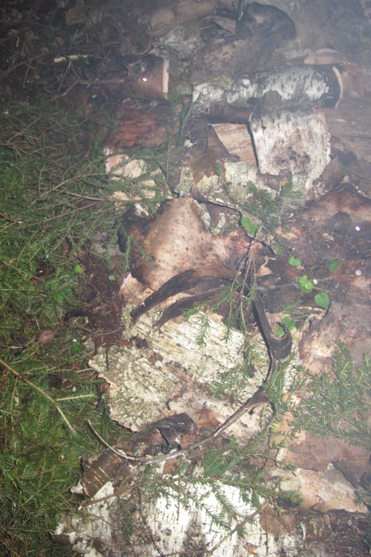 ����� ��������� ������� �����, ���� 124