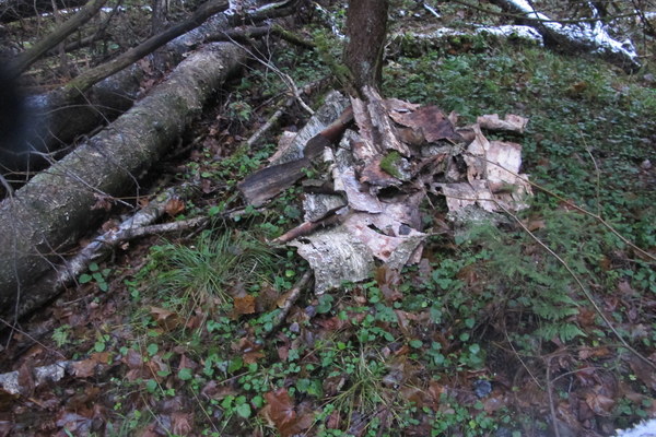 ����� ��������� ������� �����, ���� 18