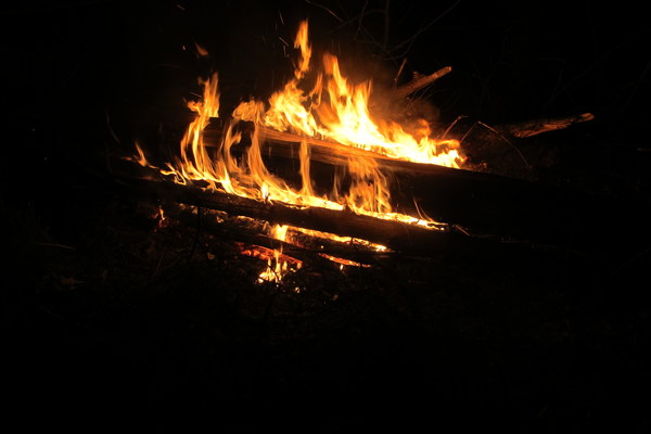 ����� ��������� ������� �����, ���� 20