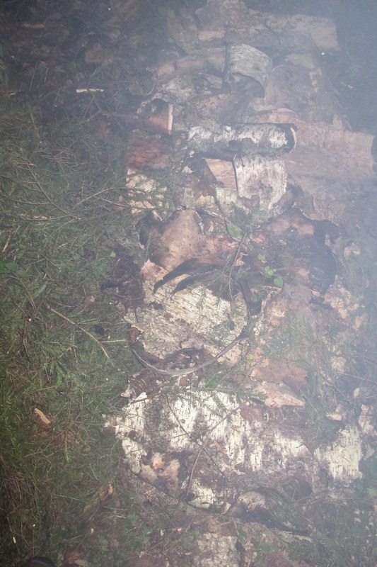 ����� ��������� ������� �����, ���� 125