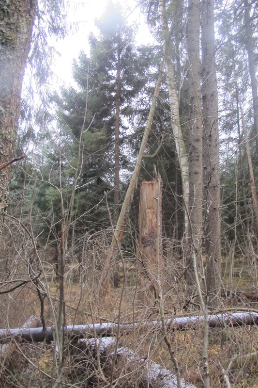 ����� ��������� ������� �����, ���� 126