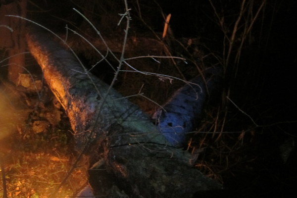 ����� ��������� ������� �����, ���� 25