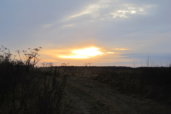 ����� ��������� ������� �����, ���� 27