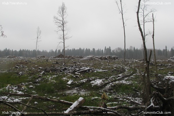 ����� ��������� ������� �����, ���� 28