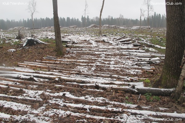 ����� ��������� ������� �����, ���� 29