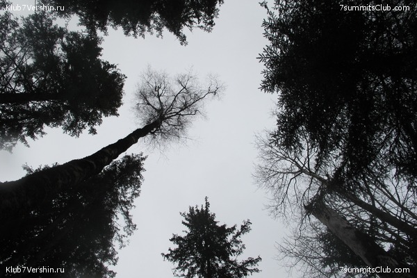 ����� ��������� ������� �����, ���� 30