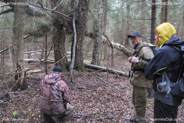 ����� ��������� ������� �����, ���� 31