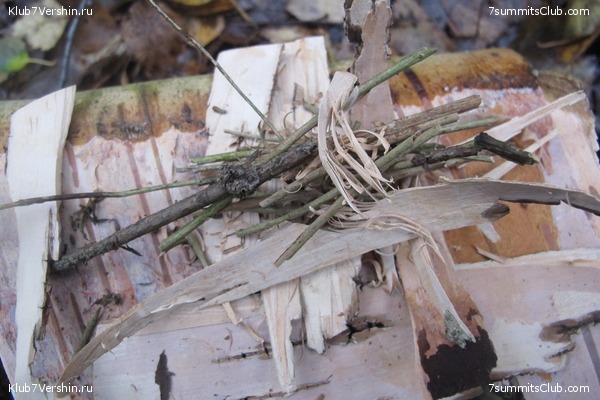 ����� ��������� ������� �����, ���� 36