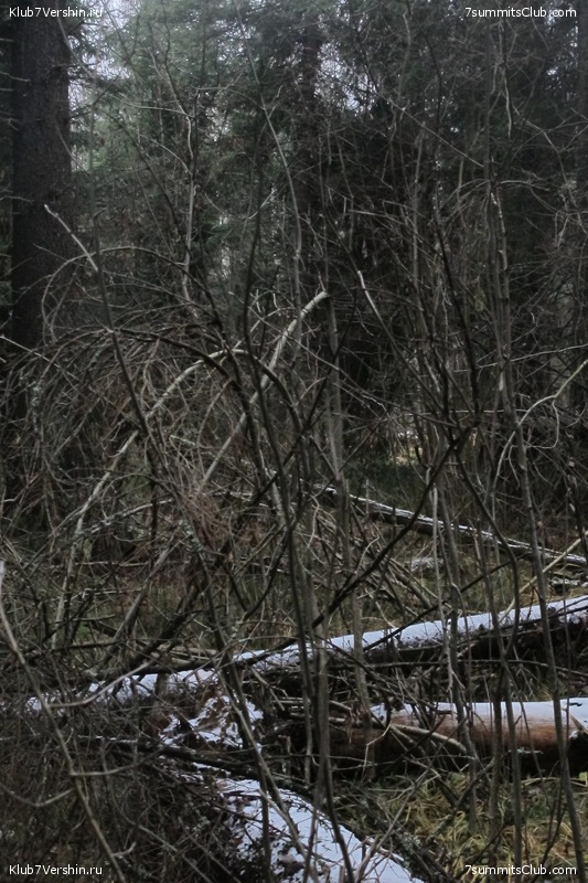 ����� ��������� ������� �����, ���� 134