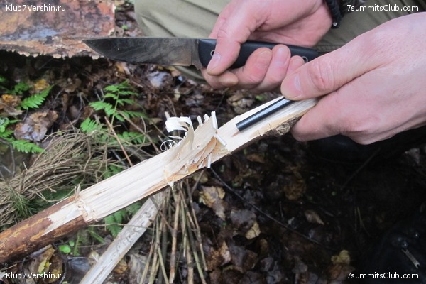 ����� ��������� ������� �����, ���� 40