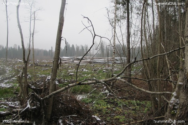 ����� ��������� ������� �����, ���� 41